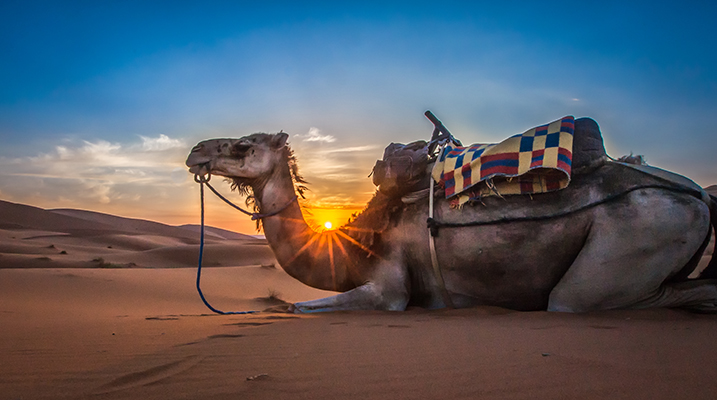 Coucher de soleil dans le désert de Merzouga
