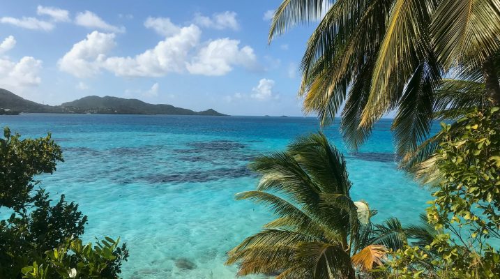 guillermo-bresciano-CwFhk7NOSlg-unsplash